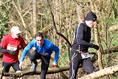 No limits 2013